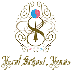VSV logo